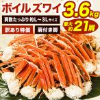ショッピング訳あり 約8~21肩約3.6kg 訳ありボイルズワイガニ肩付き脚 L~3Lサイズ ズワイガニ ずわいがに 蟹 かに カニ ボイルズワイ ボイルずわい 全国送料無料