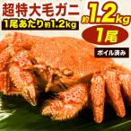 ロシア産 1尾 約1.2kg 超特大ボイル毛ガニ 国産 毛蟹 毛ガニ カニ かに 蟹 ボイル済み かに茹で済 姿 カニみそ 蟹みそ 冷凍かに 茹で蟹 全国送料無料 爆買