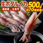 500g ( примерно 70 хвост передний и задний (до и после) ) Echizen производство сырой ho ta Louis ka сырой еда возможно сырой ..... ho ta Louis ka sashimi для ho ta Louis ka ho ta Louis ka sashimi кальмар . sashimi рефрижератор ho ta Louis ka бесплатная доставка 