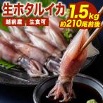 1kg+500g ( примерно 210 хвост передний и задний (до и после) ) Echizen производство сырой ho ta Louis ka сырой еда возможно сырой ..... ho ta Louis ka sashimi для ho ta Louis ka ho ta Louis ka sashimi кальмар . sashimi рефрижератор ho ta Louis ka бесплатная доставка 