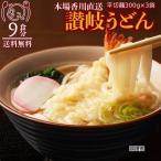 ショッピングうどん 讃岐うどん 平切麺 9食 セット 1000円 ポッキリ 生麺 平打ち きしめん お取り寄せ 食品 ポイント消化 ご当地 お試しセット グルメ 送料無料