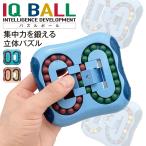 IQ BALL パズルボール 立体パズル 知育 パズル ルービックキューブ 集中力 おもしろい 玩具 iqball
