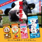 手帳型 スマホケース 全機種対応 iPhone 17 Pro 16 e 15 14 13 12 SE mini Plus ProMax AQUOS ARROWS Xperia Galaxy jiang-ds713