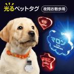 光る お散歩ライト ペットタグ 迷子札 ネームタグ ペット ねこ いぬ 札 ネームプレート LED USB充電 犬 夜 散歩 名札 ドッグタグ 名入れ キーホルダー