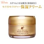 skin holic スキンホリック モイストモイスチャー スネイル 保湿クリーム かたつむり カタツムリ 韓国 コスメ 化粧品 スキンケア skin-holic04