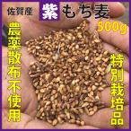 もち麦 送料無 国産 無農薬 500g 栄養