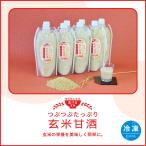 玄米甘酒 600g 8本 ノンアルコール 無添加 砂糖不使用 米麹 生 冷凍配送 妊婦 家族 子ども 健康 千葉 館山 南房総 50代 40代 美容