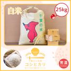 【令和7年産】新年初売り大セール！　コシヒカリ　25kg　減農薬　送料無料　令和7年産　館山　南房総　千葉県　もっちり　白米　吉田米屋　地域限定