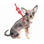 レッド・ボーン・ステップインハーネス