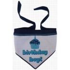 Birthday Boy шарф ( бандана )