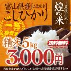 令和4年産・富山県産こしひかり「煌めく米ー五位庄米(ごいしょうまい)ー」精米5kgコシヒカリ 3,000円(税込)【産地直送米】美味しい富山米