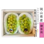 [.. для ]. зима виноград Okayama префектура производство автомобиль in мускат 2. ввод примерно 1.5kg