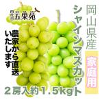 【家庭用】岡山県産 シャインマスカット 2房入り約1.5kg