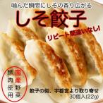 ショッピングギョウザ しそ餃子 お取り寄せ 冷凍食品 ギョーザ ギョウザ ぎょうざ 業務用 おとりよせ 宇都宮 グルメ 家飲み ビール