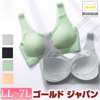 大きいサイズ レディース 下着 ブラジャー シームレス 極薄 パット メッシュ 春コーデ 春 夏 秋 冬 LL 2L 3L 4L 5L 6L 7L ブラック ベージュ グレー グリーン