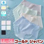 大きいサイズ レディース インナー 下着 ショーツ シームレス 接触冷感 伸縮 春コーデ 春 秋 冬 夏 LL 2L 3L 4L 5L ブラック グリーン ピンク ブルー ベー 爆買