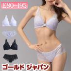 大きいサイズレディース インナー 下着 セット ブラジャー 総レースブラ＆ショーツセット 夏新作 L LL 2L 3L 4L 5L ブラック パープル ゴールドジャパン
