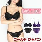 大きいサイズ レディース インナー 下着 ブラジャー 脇高カシュクールブラ&ショーツセット 冬新作 通年 L LL 2L 3L 4L 5L ブラック パープル ゴールドジャパン