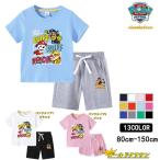 パウパトロール Tシャツキッズ トトップス 半袖 上下セット 男の子 女の子 通園 通学 キッズ 子供服 子ども服 夏物 80 90 100 110 120 130 140 150 ルームウェア