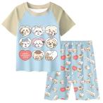ちいかわ 子供 パジャマ こども 子供服 半袖 ノースリブ 短パン 半ズボン タートルズ 綿100% ユニバーサル 春 夏 秋 部屋着 ルームウェア