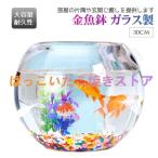金魚鉢 事務所 厚め 透明 ガラス カメリビングテーブル 円形 造景 小型金魚鉢 ミニ金魚 和風 可愛い 万能ガラス容器 大容量 多機能 観葉植物を入れて