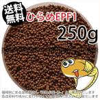 浮上性/日清丸紅飼料ひらめEPF1(2.0mm)