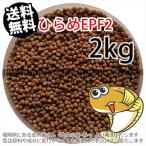 浮上性/日清丸紅飼料ひらめEPF2(2.5mm)2kg小分け品(宅配もしくはレターパック※東北北海道沖縄送料800円／金魚小屋-希-福岡／3日)