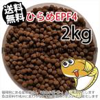 浮上性/日清丸紅飼料ひらめEPF4(4.6mm)