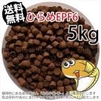 ショッピング金魚 浮上性/日清丸紅飼料ひらめEPF6(6.0mm)5kg小分け品(★宅配便★※東北・北海道・沖縄は別途送料800円／金魚小屋-希-福岡／3日)