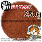 ...(. внизу .) день Kiyoshi круг .. стоимость ....B1(0.2~0.36mm)250g небольшое количество . товар ( почтовая доставка | золотая рыбка маленький магазин -.- Fukuoka |3 день )