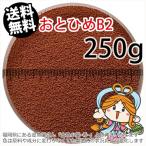 ...(. внизу .) день Kiyoshi круг .. стоимость ....B2(0.36~0.62mm)250g небольшое количество . товар ( почтовая доставка | золотая рыбка маленький магазин -.- Fukuoka |3 день )