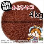 ...(. внизу .) день Kiyoshi круг .. стоимость ....C1(0.58~0.91mm)4kg небольшое количество . товар (* экспресс доставка на дом ** Tohoku * Hokkaido * Okinawa. доставка отдельно 800 иен | золотая рыбка маленький магазин -.- Fukuoka |3 день )
