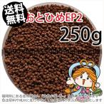 ...(. внизу .) день Kiyoshi круг .. стоимость ....EP2(1.9~2.0mm)250g небольшое количество . товар ( почтовая доставка | золотая рыбка маленький магазин -.- Fukuoka |3 день )