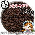 ...(. внизу .) день Kiyoshi круг .. стоимость ....EP3(2.9~3.3mm)250g небольшое количество . товар ( почтовая доставка | золотая рыбка маленький магазин -.- Fukuoka |3 день )