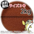  день Kiyoshi круг .. стоимость laiz3 номер ( шарик диаметр 0.36~0.65mm)2kg небольшое количество . товар ( доставка домой или letter pack почтовый сервис * Tohoku Hokkaido Okinawa стоимость доставки 800 иен | золотая рыбка маленький магазин -.- Fukuoka |3 день )