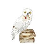  Swarovski SWAROVSKI Harry Potter hedowigHedwig произведение искусства украшение 5585969 прозрачный сова 