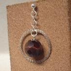 シルバーサークルタイガーアイピアス...