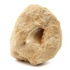 ショッピングモロッコ モササウルス 化石 牙 歯 骨 本物 モロッコ産 母岩付き 277g 1点もの 標本 海棲爬虫類 後期白亜紀 約7,000万年前 恐竜 風水 グッズ 占い 爆買