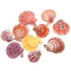  раковина детали resin hiougi.10 листов размер MIX цвет Random 4-6cm передний и задний (до и после) hiou Giga i 2 листов . ракушка материал construction натуральный . материалы hi oo gi. покупка Рождество 