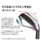 ゴルフ クラブ ウェッジ グルーブソール ステンレスヘッド クロムエージェント　スピンデザイナーカーボンシャフト　スチールシャフト メンズ　右用
