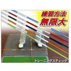 AZROF（アズロフ）トレーニングスティック 2本トレーニング用品【税別1万円以上で送料無料※北海道・沖縄税別1万5千円以上】