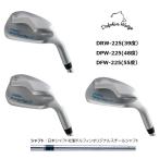 キャスコ DOLPHIN / DRW-225(39度) / DPW-225(48度) / DFW-225(55度) / ドルフィン アプローチ ウェッジ ドルフィンオリジナルシャフト