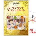 ゴルフコンペ 目録 賞品 ハーゲンダッツ スペシャルセット A3景品パネル＆引換券付き目録（hg10）