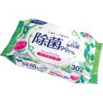 リファインノンアルコール除菌おでかけウェットティッシュ(30枚)