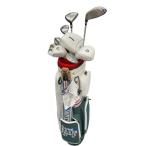  Bridgestone TOURSTAGE CL(2016) 8S женский темно-синий комплект клюшек CS Flex L