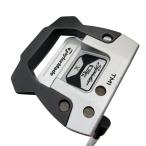 ショッピングパター テーラーメイド Spider GTx TRUSS DUNE SILVER TM1 34インチ パター PT フレックスその他