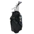  links SILVER CAT LV-F 10S(CB есть ) зеркальный ti комплект клюшек CS Flex SR