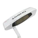  TaylorMade GHOST TM-340 34 дюймовый USA короткая клюшка PT Flex прочее 