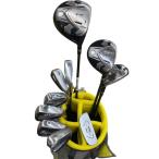  links SILVER CAT RV-F 10S комплект клюшек CS Flex R