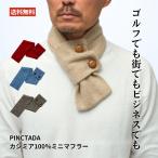 PINCTADA カシミア100% ミニマフラー メンズ マフラー カシミア 小さめ